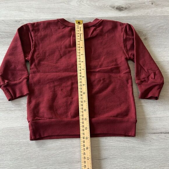 Ford and Wyatt X Little Bipsy Bubby Sweatshirt Holly Berry 18-24 M NWT IN PKG - Picture 9 of 9